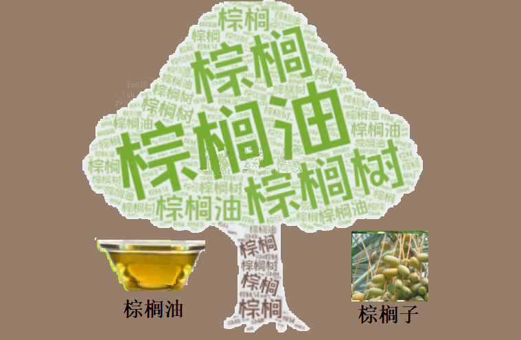 ZFX山海证券官网:油脂市场录得三周首个周涨幅：能源溢价与汇率走弱支撑棕榈油价格